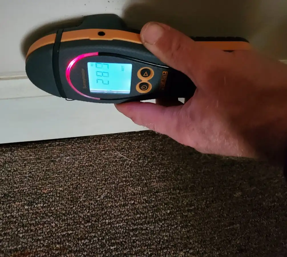 Moisture detection at baseboard during Sewage Cleanup & Sanitation in East Huntingdon